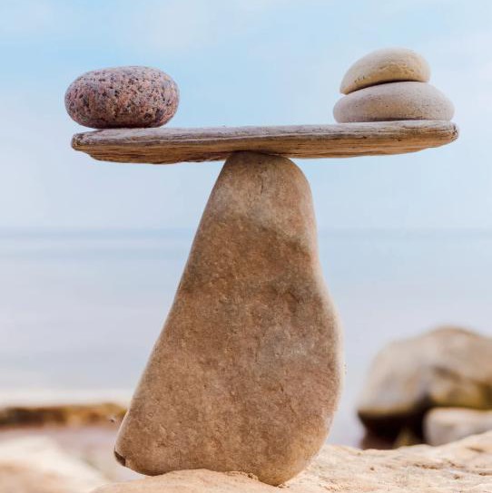 Wellness Professionals logo